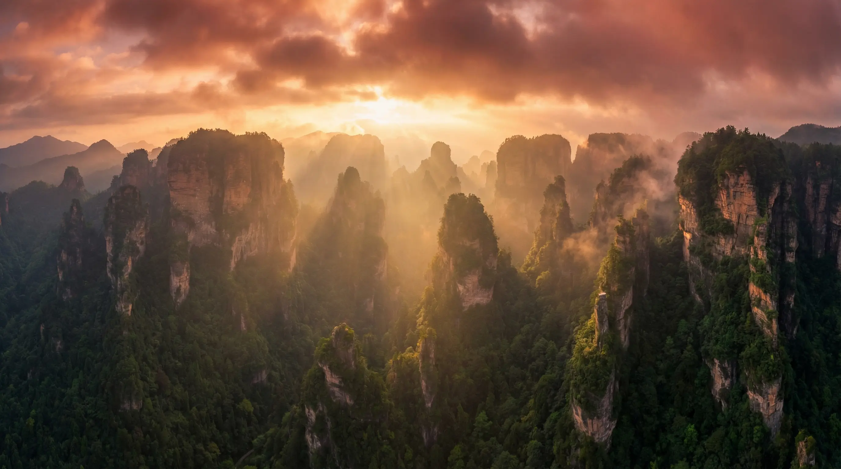 电影爱欲狂潮 自然风光视频封面